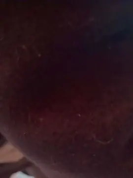 Cam4 Live Sex of JarvisTrooper