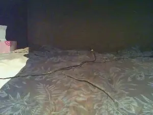 Cam4 Adult Webcam of niclas0022