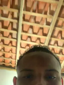 Cam4 Best Webcam of novindot20cm_