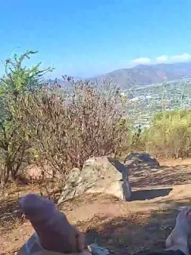 Cam4 Adult Webcams of potro137