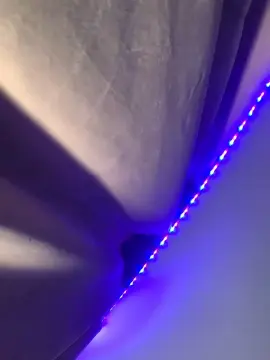 Cam4 Free Porn Cam of missdior22
