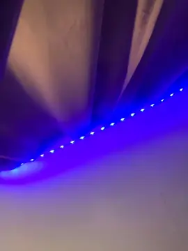 Cam4 Adult Webcam of missdior22