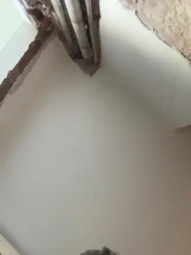 Cam4 Adult Webcams of Floppy699