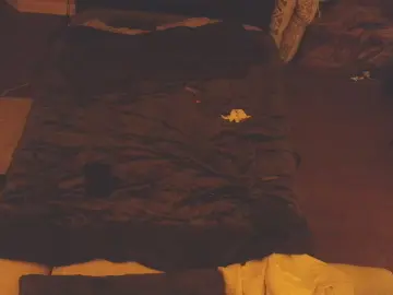 Cam4 Live Sex of Breedme4free