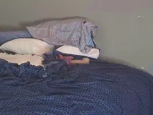 Cam4 Free Porn Cam of Breedme4free