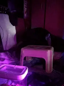 Cam4 Live Porn of physicssexpert