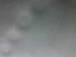 Cam4 Free Porn Cam of Masc39