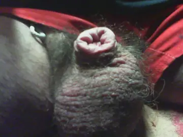 Cam4 Free Porn Cam of nounours112