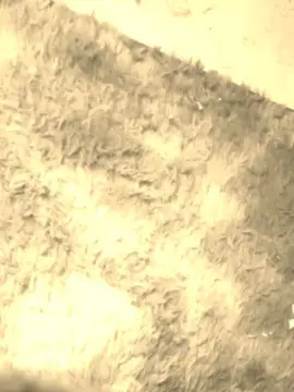 Cam4 Free Porn Cam of Andriwssw