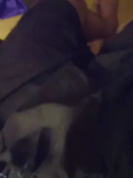 Cam4 Free Live Porn of Andriwssw