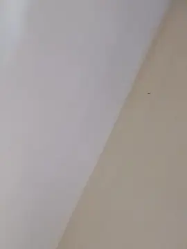 Cam4 Free Live Porn of Btmbot