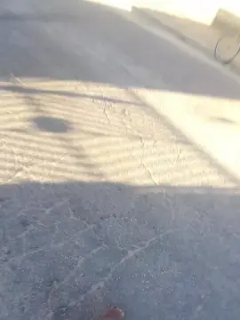 Cam4 Sex Chat of brferreira71