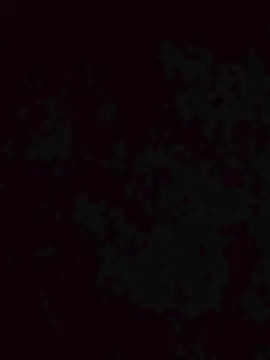 Cam4 Adult Video Chat of NovinPauzudoo