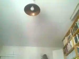 Cam4 Best Webcam of wattknott