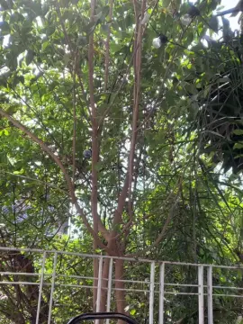 Cam4 Live Porn of raul4396624