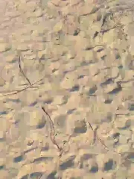 Cam4 Live Sex Cam of theo6913