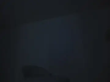 Cam4 Adult Video Chat of SARA_FOX_TS