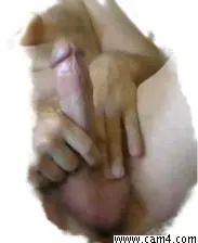 cocktotaler