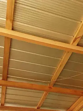 Cam4 Adult Webcams of Nativo8