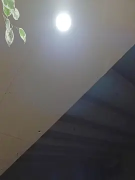 Cam4 Adult Video Chat of Nativo8