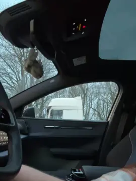 Cam4 Live Sex Cam of piemel19x6