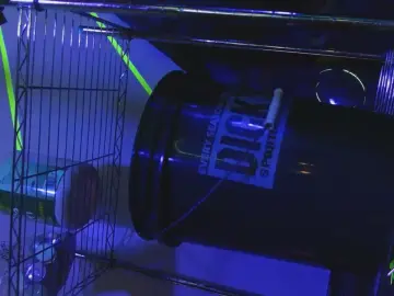 Cam4 Live Sex Cam of sfpunkpig