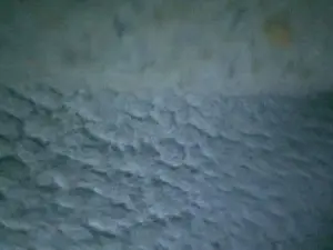 Cam4 Free Live Porn of ElReynaldo