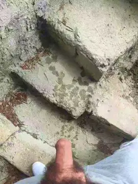 Cam4 Free Live Porn of Andresmistress