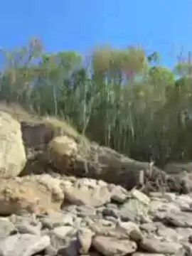 Cam4 Free Live Porn of Nil_mt28