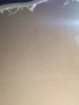 Cam4 Best Webcam of Dickbar1