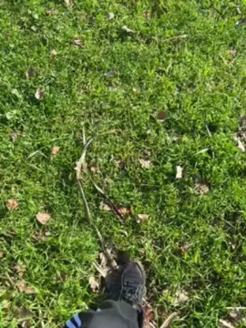 Cam4 Adult Webcam of vampirexslayerx