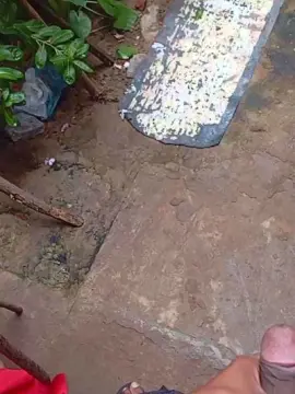 Cam4 Adult Webcam of PAUZUDONORDESTI