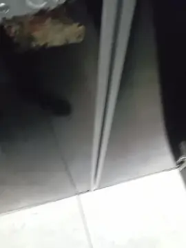 Cam4 Live Sex of quetx