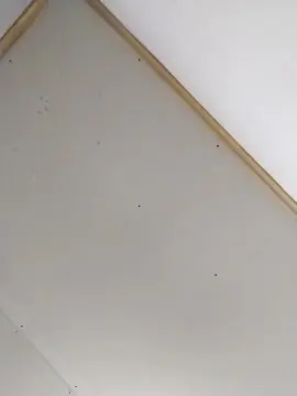 Cam4 Nude Webcam of MARKORE77