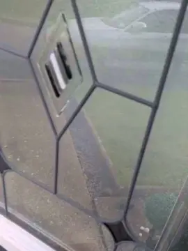 Cam4 Free Porn Cam of Mywifesacheat