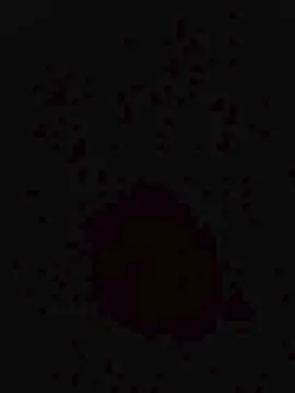 Cam4 Sex Chat of Orazio0701