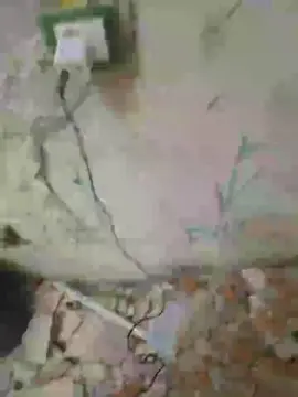 Cam4 Live Porn of fonzieperver