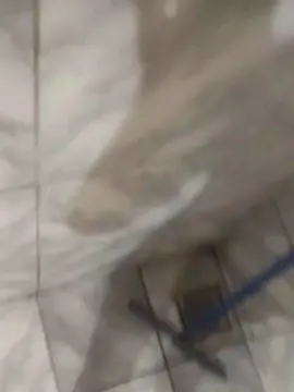 Cam4 Live Porn of Caiopal