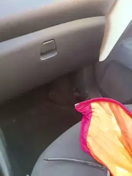 Cam4 Free Porn Cam of Gastea1