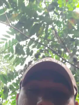 Cam4 Watch Live Sex Cams of Guto6000