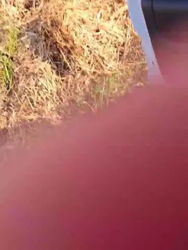 Cam4 Private Sex Chat of nicos51100