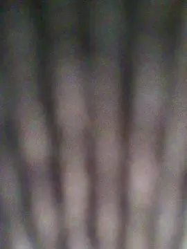 Cam4 Adult Webcam of agusttinak3