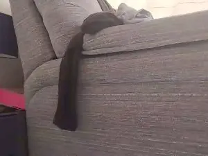 Cam4 Free Live Porn of ladyliz0