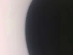 Cam4 Adult Video Chat of pibetigrexxx