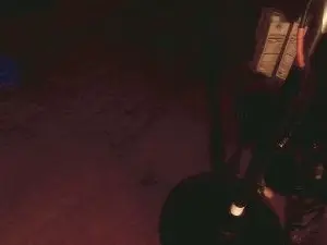 Cam4 Adult Webcam of tiny1999