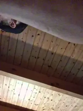 Cam4 Private Sex Chat of SskSsk29