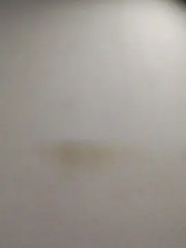 Cam4 Live Sex Cam of tonytuga