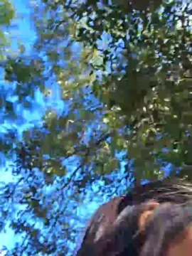 Cam4 Free Live Porn of Mssady