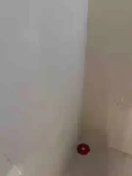 Cam4 Best Webcam of immen1