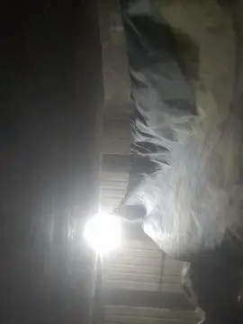 Cam4 Live Porn of larubia1985